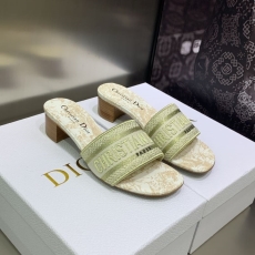 Christian Dior Slippers